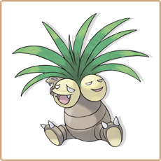 103 Noadkoko.jpg